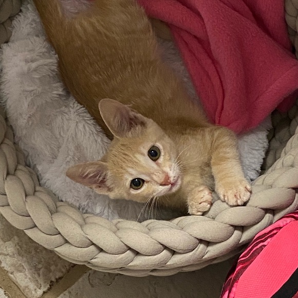 Meet your Posher, Val - Picture 9 of 12